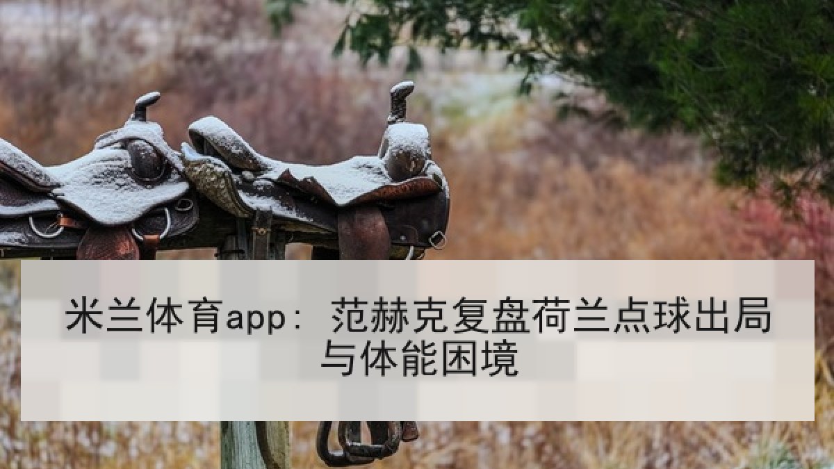 米兰体育app: 范赫克复盘荷兰点球出局与体能困境